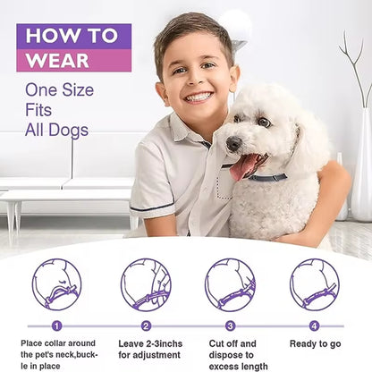 3/4 Pc Dogs Calming Pheromone Collars Cats Relieve Anxiety Adjustable Comfortable Collar for Puppy Kitten Large Pets Accessories